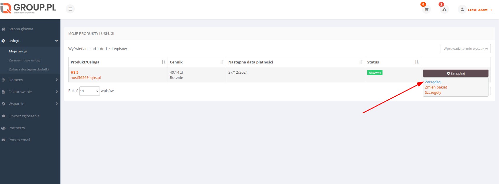Przycisk dostępu do DirectAdmin w Panelu Klienta