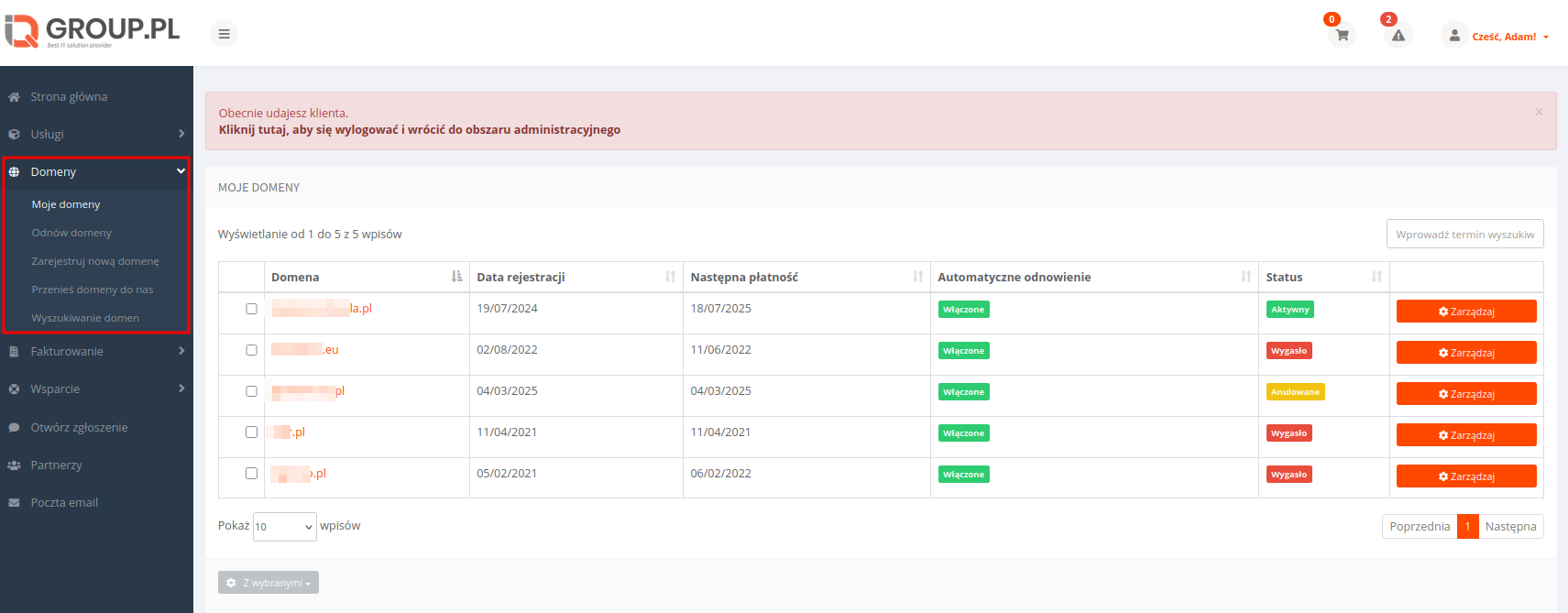 Sekcja zarządzania domenami w Panelu Klienta