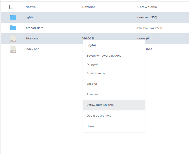 Okno zmiany uprawnień pliku w Menedżerze Plików DirectAdmin